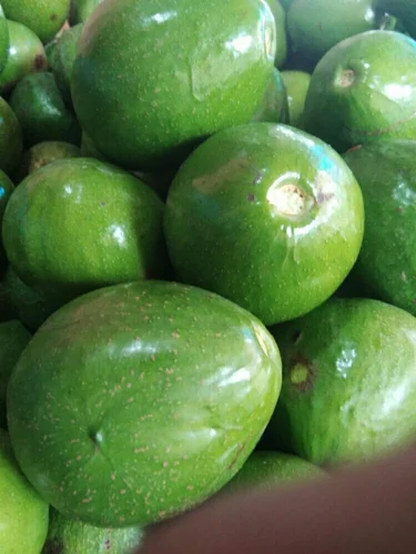 Butter Fruit (Avacado) 500gm - Image 3