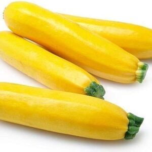 Zuccini Yellow 1pc