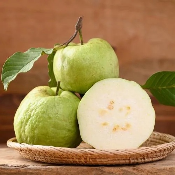 Thai Guava 500gm - Image 3