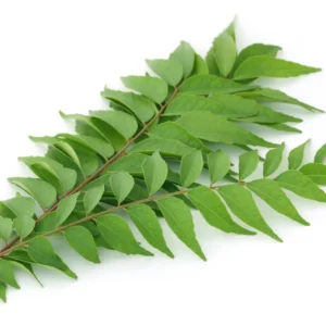 Curry leaves 100gm