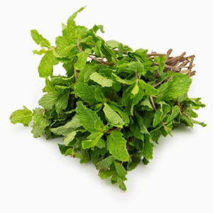 Mint leaves 100gm