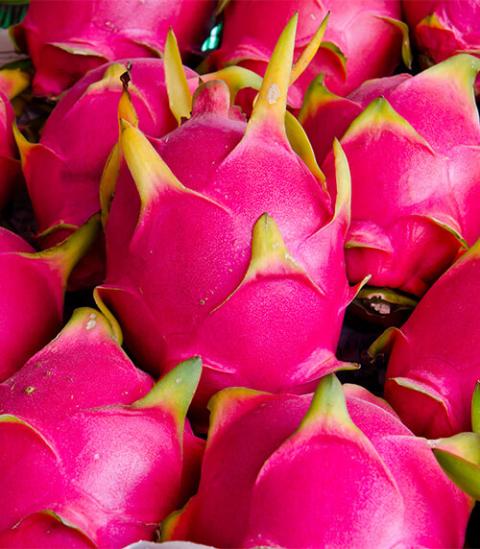 Dragon Fruit 1 Pc - Image 2
