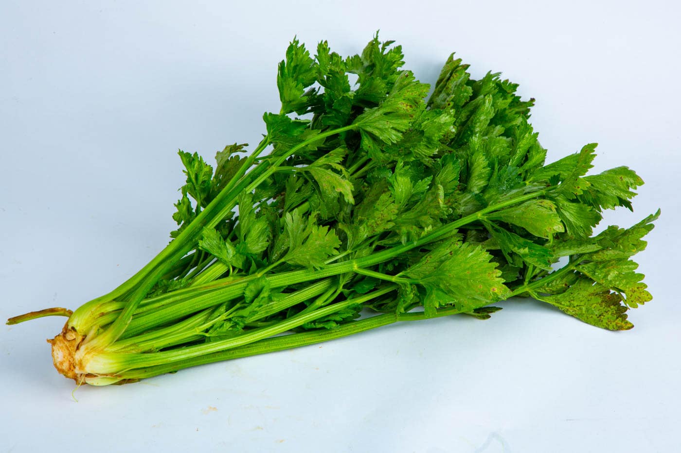 Celery 100gm