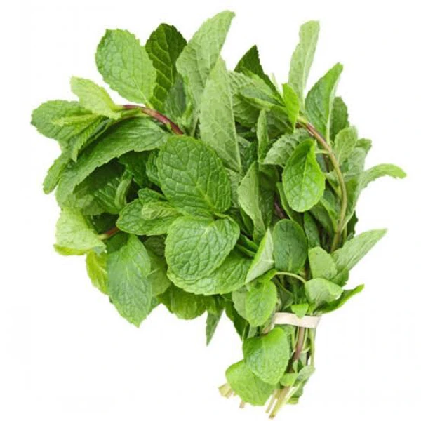 Mint leaves 100gm - Image 3