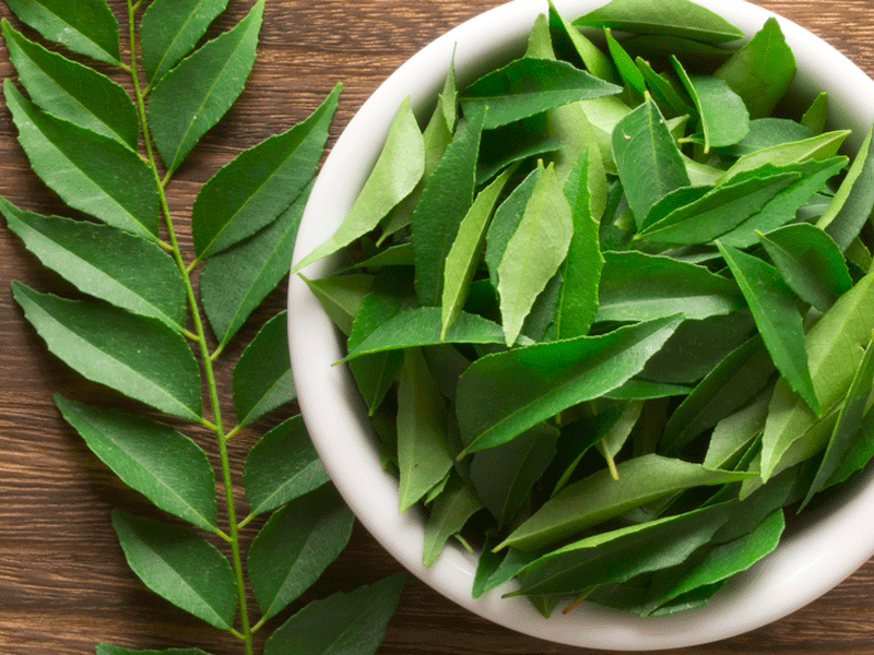 Curry leaves 100gm - Image 2