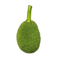 Raw JackFruit ,Viatnam 1 Pc (700-1200gm) - Image 2