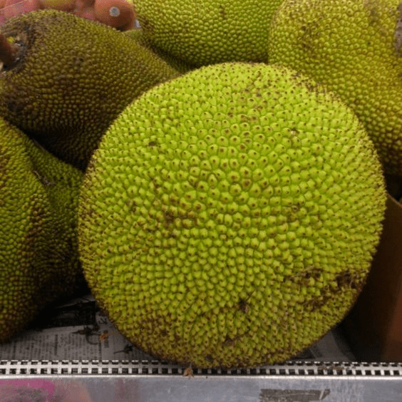 Raw JackFruit ,Nati 1 Pc (700-1200gm) - Image 2