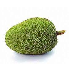 Raw JackFruit ,Nati 1 Pc (700-1200gm) - Image 3