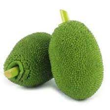 Raw JackFruit ,Viatnam 1 Pc (700-1200gm)