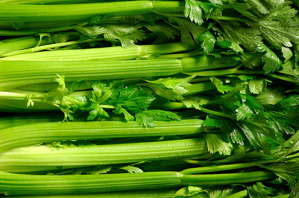 Celery 100gm - Image 2
