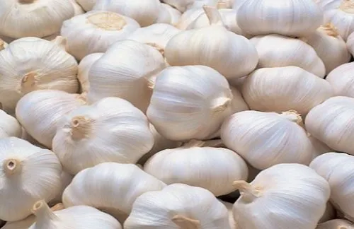Garlic 100gm - Image 2
