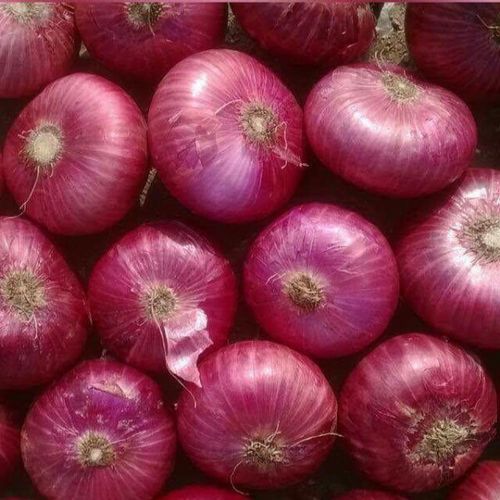 Onion 1kg