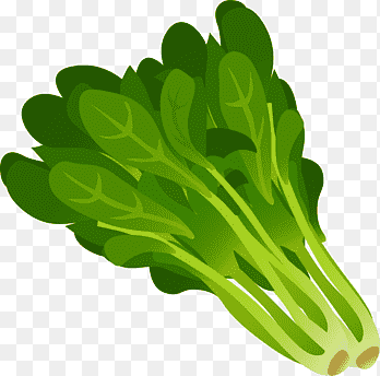 Leafy Vegetables