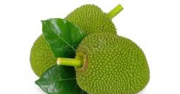 Raw JackFruit ,Nati 1 Pc (700-1200gm)
